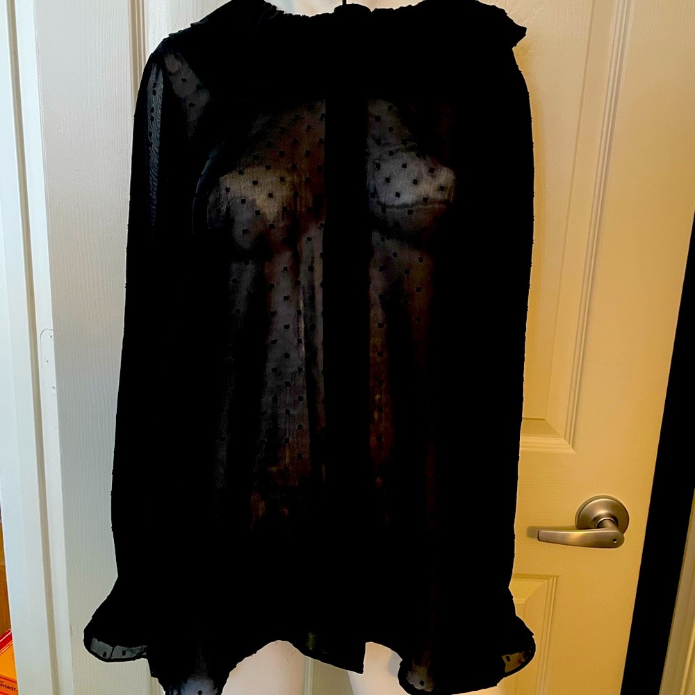 Sheer Black Blouse